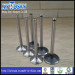 Engine Valve Used for BMW