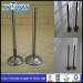 Engine Valve for Nissan Tb42