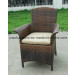 F- GS-9006 Exported Outdoor Furniture Modern Garden Rattan Dining Chair