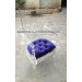 Fashionable Design Acrylic Dining Chair