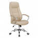 Fashionable Manager Erognomice Swivel High Back Office Chair (FS-2035H)