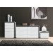 Five Drawer Cabinet Home Furniture Bookshelf (WDG-B108)