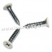 Flat Head Phillips Self-Tapping Screw