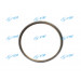 Flywheel Gear Ring/Foton Parts/Auto Parts