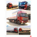 Foton 8X4 30000L Fuel Delivery Truck