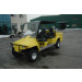 Four Seats Electric Hunting Buggy with CE Approved, Lsv