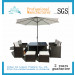 Garden Furniture Outdoor Furniture Dining Set Dining Chair (FD-011e)