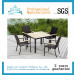Garden Furniture Outdoor Furniture Rattan Table Rattan Chair (FD-054I)