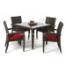 Garden Furniture, Rattan Table and Chair (PAD-006)