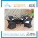 Garden Furniure Outdoor Furniture Dininng Set Outdoor Chair (FD-022I)