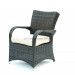 Garden Outdoor Wicker Patio Rattan Chair (PAC-003)