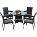 Garden Outdoor Wicker Patio Rattan Dining Set (PAD-1318)