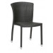 Garden Rattan Patio Wicker Outdoor Chair (PAD-008)