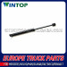 Gas Spring for Heavy Truck Volvo OE: 3981920 / 8143670 / 20895863