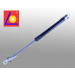 Gas Springs for Automobile Markets