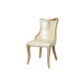 Golden New Design Modern Dining Chair (TM-H-1209)