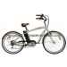 Green Power Electric Bicycle (TDE06Z-1214)