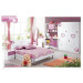 Hand Painted Children Bedroom Furniture (JB-916)