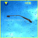 Higer Bus Wiper Arm (GB-03)