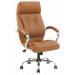 High Back Ergonomic Boss Office Chair (FS-8716)