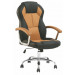 High Back Ergonomic Office Chair (FS-8612)