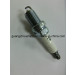 High Quality Ignition Spark Plug for KIA (RC10PYPB4)