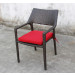 High Quality Outdoor/Garden/Patio/Rattan Leisure Chair-Restaurant Furniture (S219)