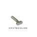 High Quality T Head Bolts