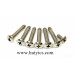High-Quality and High-Precision Wood Screw