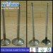 Hino F20c Engine Valve (OEM 13711-1610 & 13715-1750)