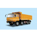Hongyan Jingang 8X4 Dump Truck (CQ3303TPG466)
