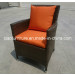 Hot Sale Arm Chair with Cushion