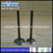 Inlet & Exhaust Valve for Engine Isuzu 4jb1