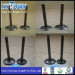 Intake and Exhaust Engine Valve for Toyota (ALL MODELS)