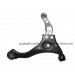 Japan Upper Low Control Arm for Hyundai (54510-3K000)