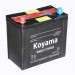Japanese Dry Battery (46B24R/L(S)-NS60S-N45S)
