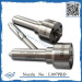 L097pbd Cheap Delphi Diesel Injection Nozzle for KIA Hyundai Crdi