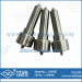 L120pbd L120prd Delphi Diesel Parts Nozzle Tip for Renault