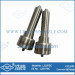 L222pbc Cr Delphi Diesel Nozzle Size for Volvo Automotive Parts