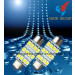 LED Car Tail Light -SMD LED