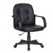 Leather Visitor Meeting Executive Office Chair (FS-3002)