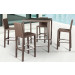 Leisure Highchair Aluminum Rattan Leisure Furniture (B420)
