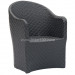 Leisure Wicker Arm Chair (RC-06025)