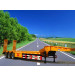Lowbed Semi Trailers (CTY8460)