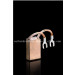 Metal Graphite Carbon Brush Motors (RC67)