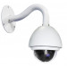 Mini High Speed Dome Camera (FEX29-10)