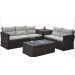 Modern Garden Furniture Rattan Sofa Set (PAS-1501)