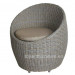 Modern Hotel Chair Rattan Wicker Hotel Furniture (S285)