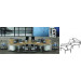 Modern Style Premium Staff Partition Workstations Office Desk (PS-15-MF02-12)