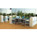 Modern Style Premium Staff Partition Workstations Office Desk (PS-LNPS-06)